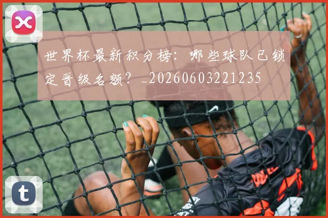 世界杯最新积分榜：哪些球队已锁定晋级名额？_20260603221235